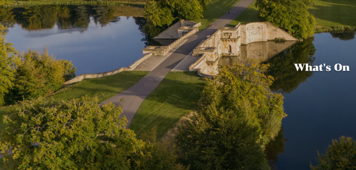 Bleinham Palace Festival line up announced