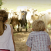 Open Farm Sunday on June 7 – find a farm to take the family!
