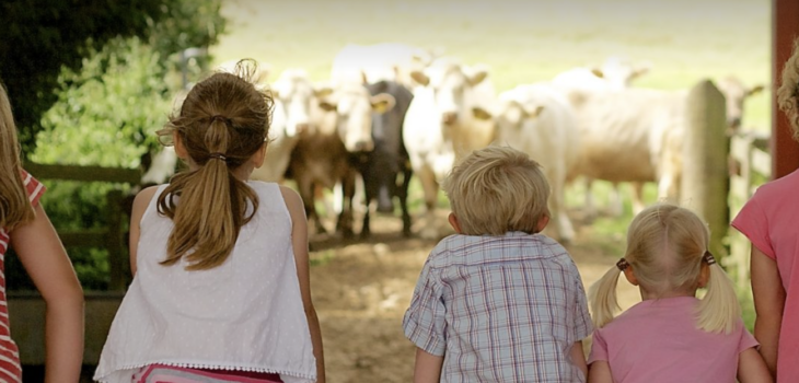 Open Farm Sunday on June 7 – find a farm to take the family!